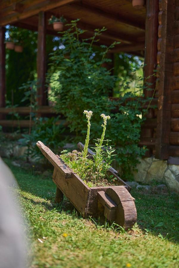 קולאסין Country House Brijest מראה חיצוני תמונה